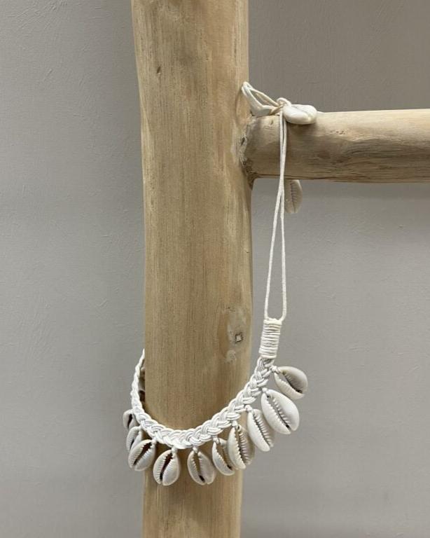 Muschelkette