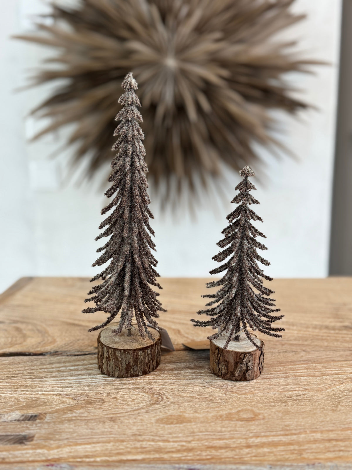 Tannenbaum braun