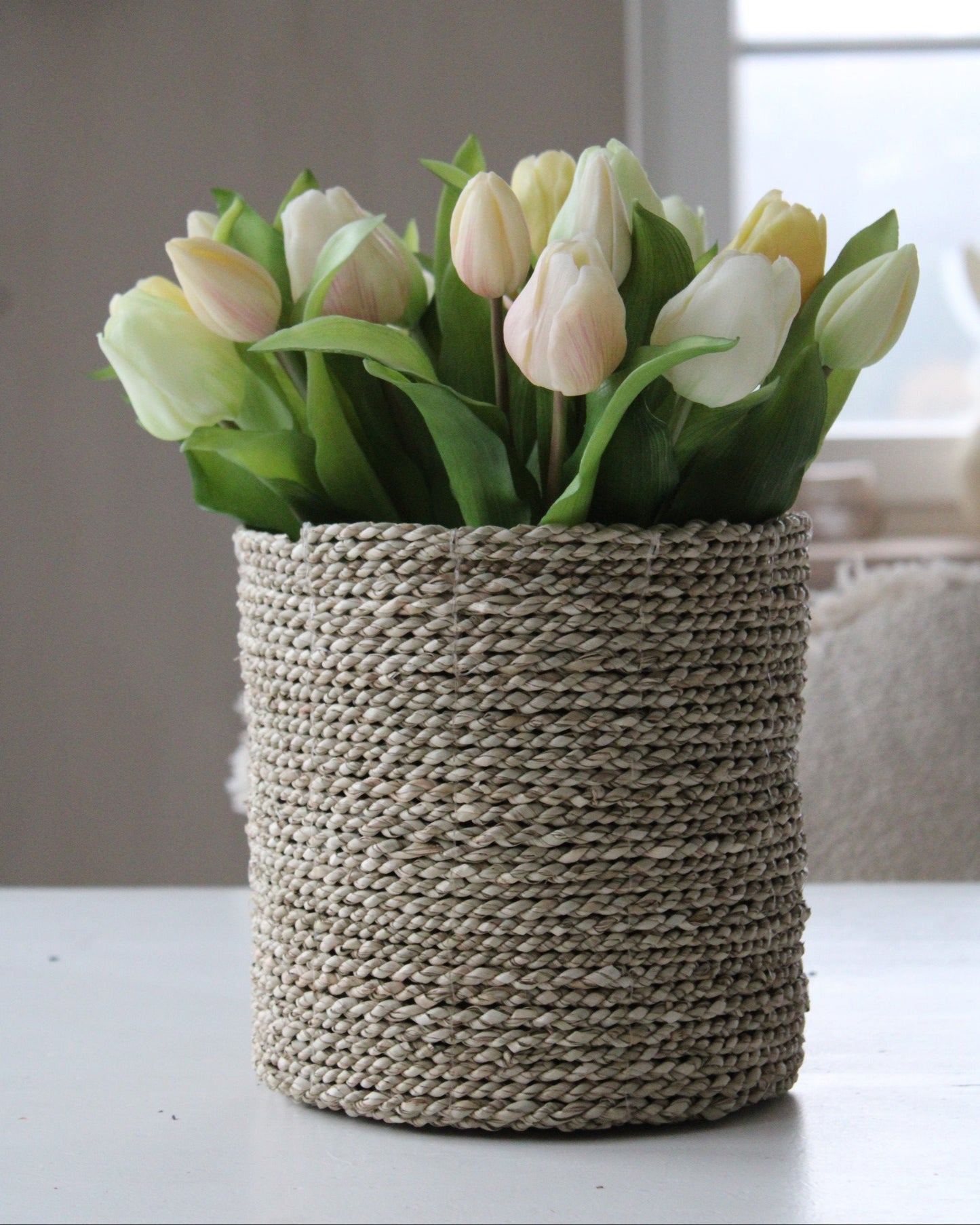 Tulpen